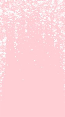 Serpiştirilmiş kalpler sevgililer günü şablonu. Beyaz kalpler pembe arka plana saçılmış. Kutlama serpiştirilmiş kalp vektör illüstrasyonu.