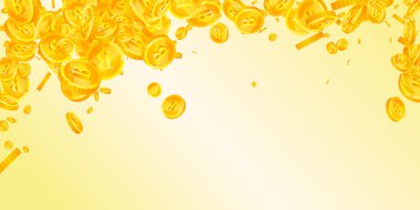 Bitcoin paraları düşüyor. Kripto para birimi etrafa saçılmış altın BTC paralar. İnternet para birimi. Büyük iş başarısı konsepti. Geniş vektör illüstrasyonu.