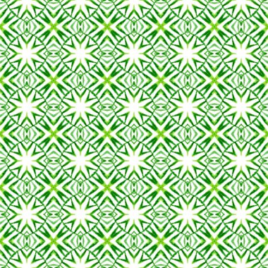 Tekstil hazır kalın baskı, mayo kumaş, duvar kağıdı, ambalaj. Yeşil inanılmaz boho şık yaz tasarımı. Suluboya yaz etnik sınır düzeni. Etnik el boyası desen.