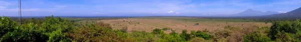 熱帯雨林の植生の境界線を背景に青い空が広がる牧草地のパノラマ写真 — ストック写真