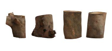 Set of tree stump isolated on white background, clipping path included. Illustration.