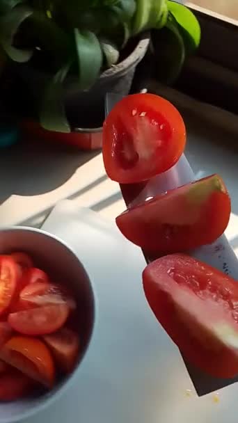 新鮮なトマトをスライスします — ストック動画