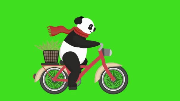 Orso Panda Scarfed Arancione Sella Una Bicicletta Rossa Con Cesto — Video Stock