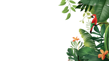 Dalında kuş olan tropik bir orman. Kuşlar rengarenk. Ağaçlar uzun ve yeşildir ve büyük yaprakları vardır. Şeffaf arkaplan.