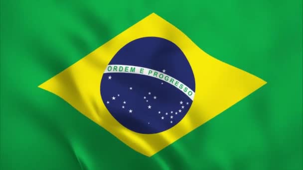 Brezilya Bayrağının Güzel Manzarası Brezilya Bayrağı Dalgalanması Brezilya Bayrağı Pürüzsüz — Stok video