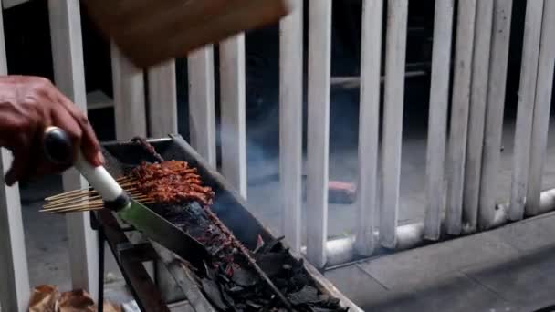 Grilling Chicken Satay Satay Grill Polaroid Video Effect — Vídeo de Stock