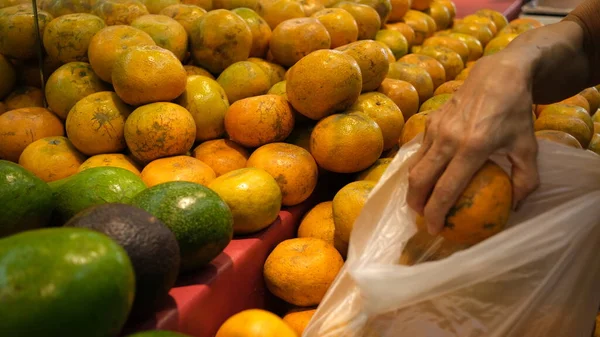 Hand Selecting Fresh Citrus Fruits Shelf — Stock Photo, Image