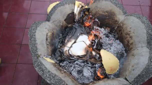 Spálit Joss Papír Pro Předky Oslavě Cheng Beng Čínská Tradice — Stock video