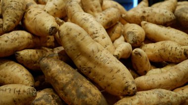 Çiğ cilembu tatlı patates yığını