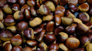 Arka plan için taze fındık fıstık görüntüsü