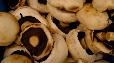 Kutuda taze portobello mantarı..