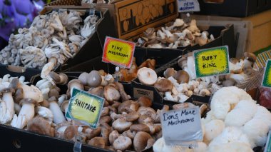 Yeni pazarlarda çeşitli mantar türleri satılıyor.. 