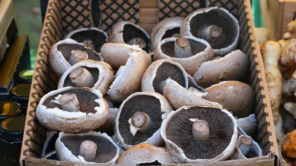 Fresh Portobello Mushrooms Box — Stock Photo, Image