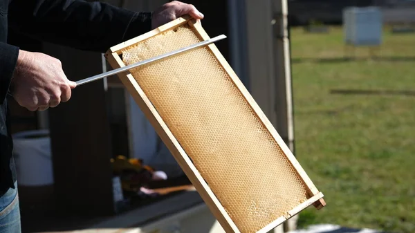 Een Man Met Een Bijenkorf Een Bijenkwekerij — Stockfoto
