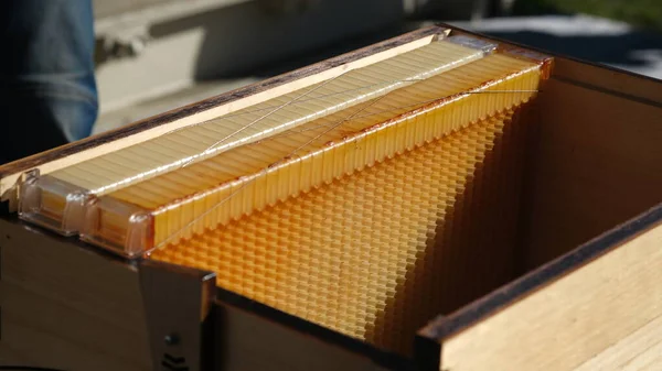 Moderne Bijenkorven Die Gemaakt Zijn Van Plastic Voor Het Verzamelen — Stockfoto