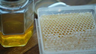 Bal peteği, bal arıları tarafından yuvalarında bal ve polen depolamak için balmumundan yapılmış altıgen prizmatik hücrelerden oluşan bir kütle..