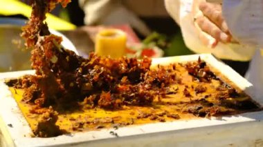 Bir arı yetiştiricisi bal almak için bal peteği açıyor..