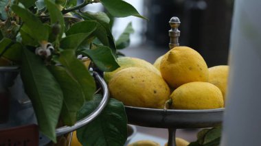 Tabak ve sepette yaprakları olan taze limon meyveleri..