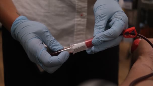 Petugas Mengambil Darah Dari Pasien Yang Menyumbangkan Darah Untuk Pengujian — Stok Video
