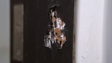 Tahta kapı çerçevelerinde termitler tarafından yenen bir delik, Termine tarak..