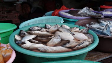Geleneksel deniz ürünleri pazarında taze çiğ balık satışı.