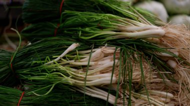 Lokio ya da Chives, genellikle Batak soğanı olarak adlandırılan bir soğan türüdür. Lokio 'nun soğan ve soğana benzer bir görüntüsü var ama küçük beyaz bir ampulü var..