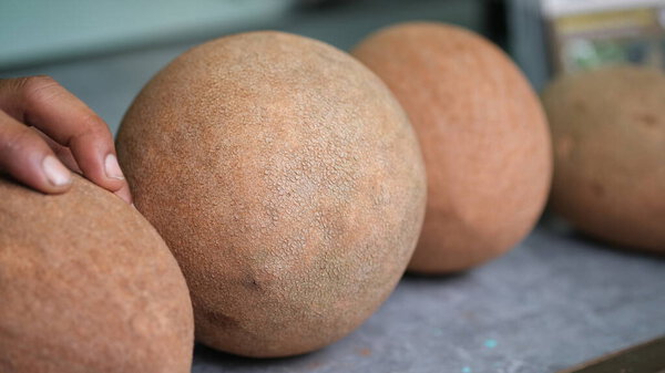 Mamey Sapote fruit is a Mexico jumbo sapodilla fruit.
