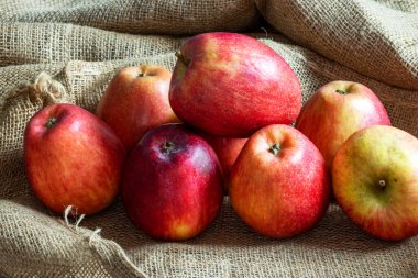 Çuval bezinde iki renkli elma grubu 