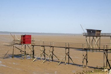 Esnandes. Deniz kıyısı balıkçılığı alçak gelgitte. Charente-Maritime. Yeni- Aquitaine 