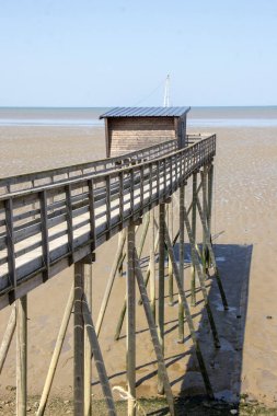 Esnandes. Deniz kıyısı balıkçılığı alçak gelgitte. Charente-Maritime. Yeni- Aquitaine 