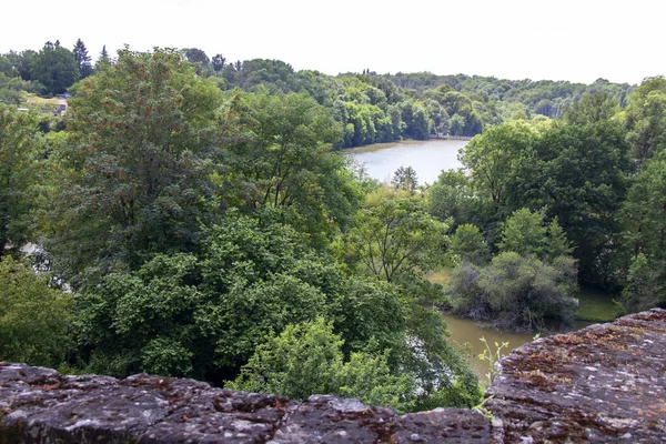 Blick Auf Den Wald Von Vouvant Und Den Fluss Mre — Stockfoto