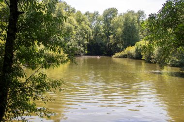 Marais du Parc Rgional du Marais Poitevin Venise Verte, Sainte-Hilaire-la-Palud 'da