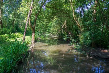 Marais du Parc Rgional du Marais Poitevin Venise Verte, Sainte-Hilaire-la-Palud 'da