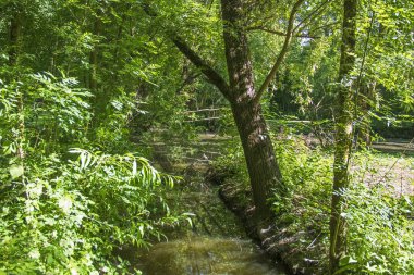 Marais du Parc Rgional du Marais Poitevin Venise Verte, Sainte-Hilaire-la-Palud 'da