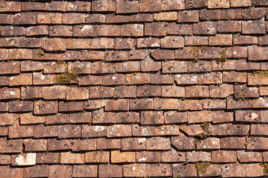 Çatıdaki eski fayanslar..