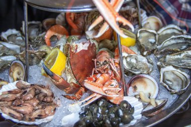 İstiridye, ıstakoz, yengeç, istiridye, karides, salyangoz, yengeç, karides tabağı. 