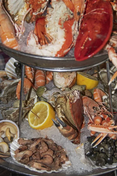 Seafood platter with oysters, langoustines, crabs, clams, prawns, whelks, crabs, prawns