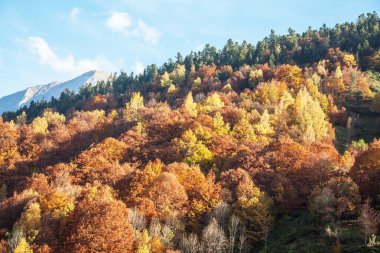 İspanyol Pyrenean yamacında sonbahar manzarası, Los Circos rezervi, Aragon