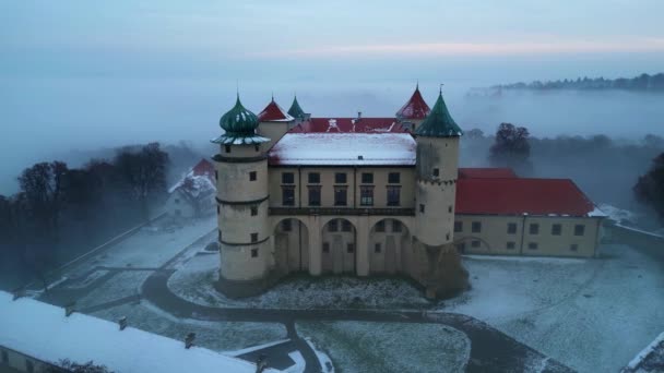 Lot Dronem Nad Starym Średniowiecznym Zamkiem Piękny Widok Przyrodę Złota — Wideo stockowe