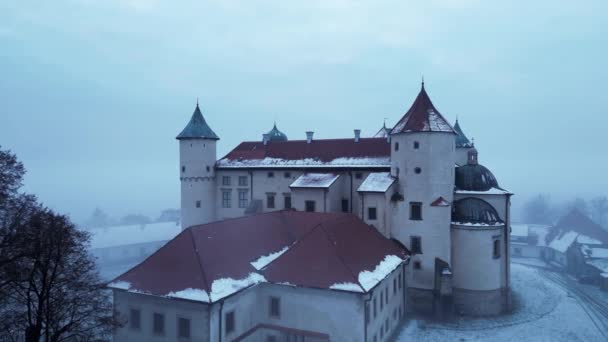 Drone Πτήση Πάνω Από Παλιό Μεσαιωνικό Κάστρο Όμορφη Θέα Της — Αρχείο Βίντεο