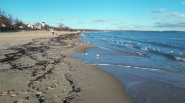 Brzezno 'daki iskele ve Gdansk' taki Baltık Denizi sahili. Polonya