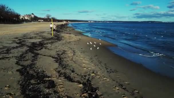 Pier Brzezno Beach Baltic Sea Gdansk Poland — Stock Video