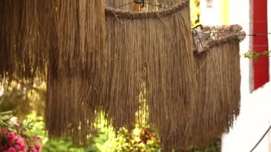 saman çöpü bahçede ipte sallanıyor.