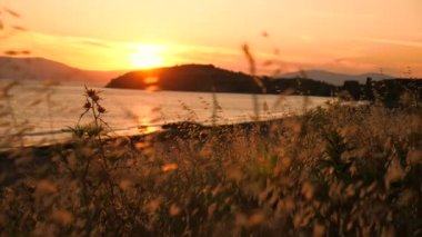 Sahilde gün batımı