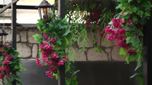 Flores Bonitas Jardim — Vídeo de Stock