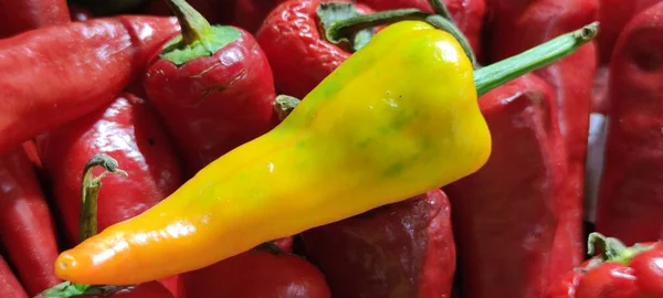 Sweet Long yellow bell pepper on red bell peppers, market, vegetables, stock photo. High quality photo
