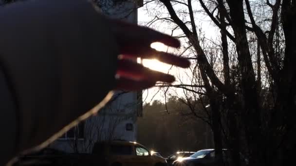 Ręka Słońcu Zbliżenie Sylwetka Światło Słoneczne Marzenie Szczęściu Wysokiej Jakości — Wideo stockowe