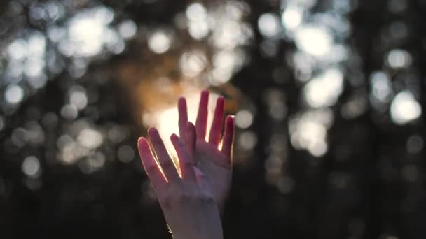 Close Girl Dance Her Hand Heaven Sun Background Forest Imágenes — Vídeo de stock