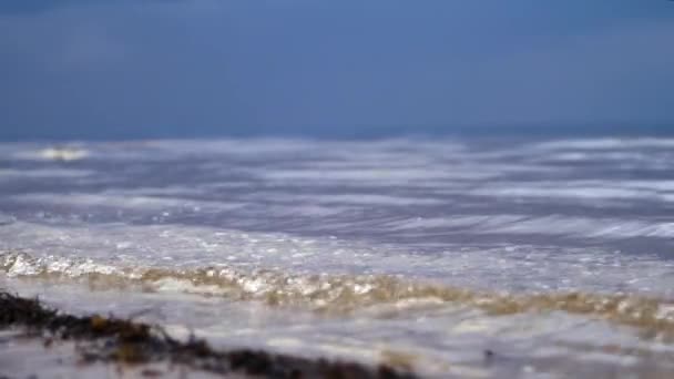 ジュラ紀の美しい風景は 波の海の砂浜 クローズアップで実行されます 高品質4K映像 — ストック動画
