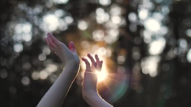 Закройте Девушку Танцующую Руками Солнцу Фоне Леса Высококачественные Кадры — стоковое видео